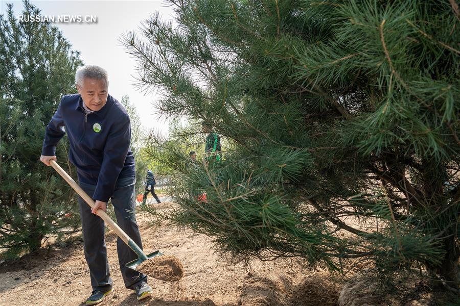 ВК НПКСК провел акцию по посадке деревьев в Пекине