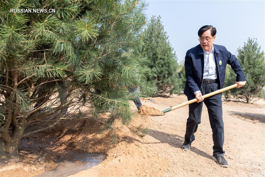 ВК НПКСК провел акцию по посадке деревьев в Пекине