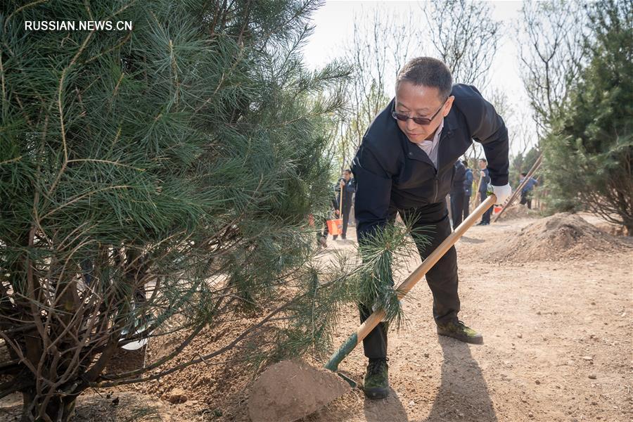 ВК НПКСК провел акцию по посадке деревьев в Пекине