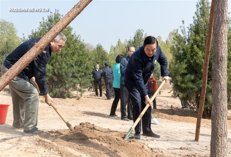 ВК НПКСК провел акцию по посадке деревьев в Пекине