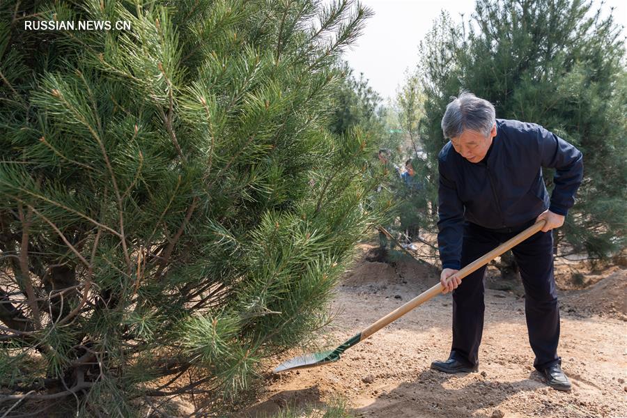 ВК НПКСК провел акцию по посадке деревьев в Пекине