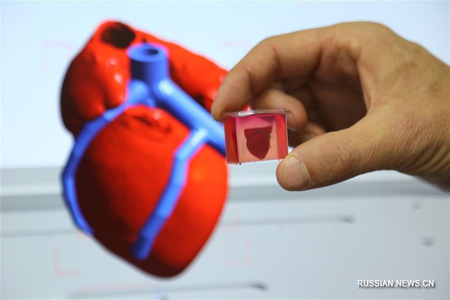 Израильские исследователи объявили о создании первого в мире "полноценного" сердца с применением 3D-технологий