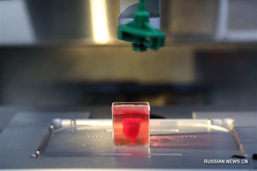 Израильские исследователи объявили о создании первого в мире "полноценного" сердца с применением 3D-технологий