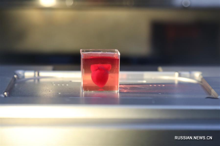 Израильские исследователи объявили о создании первого в мире "полноценного" сердца с применением 3D-технологий