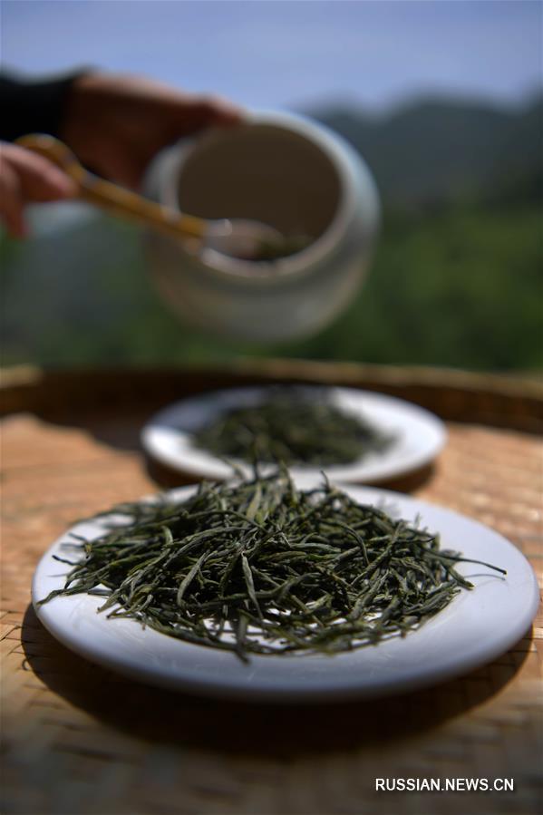 Производство чая в уезде Бадун
