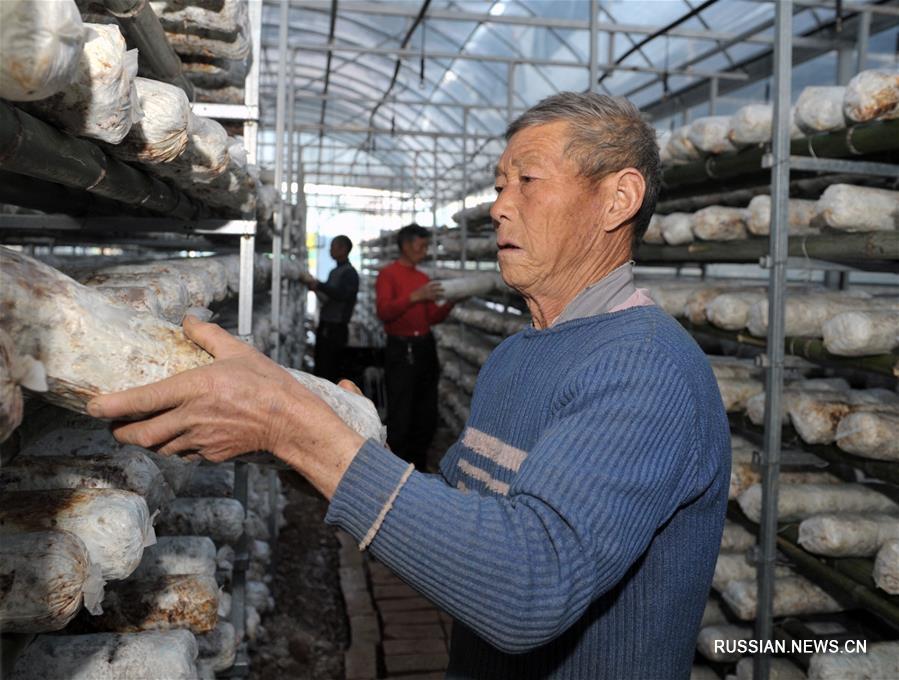 Развитие производства и борьба с бедностью в уезде Чэнгу