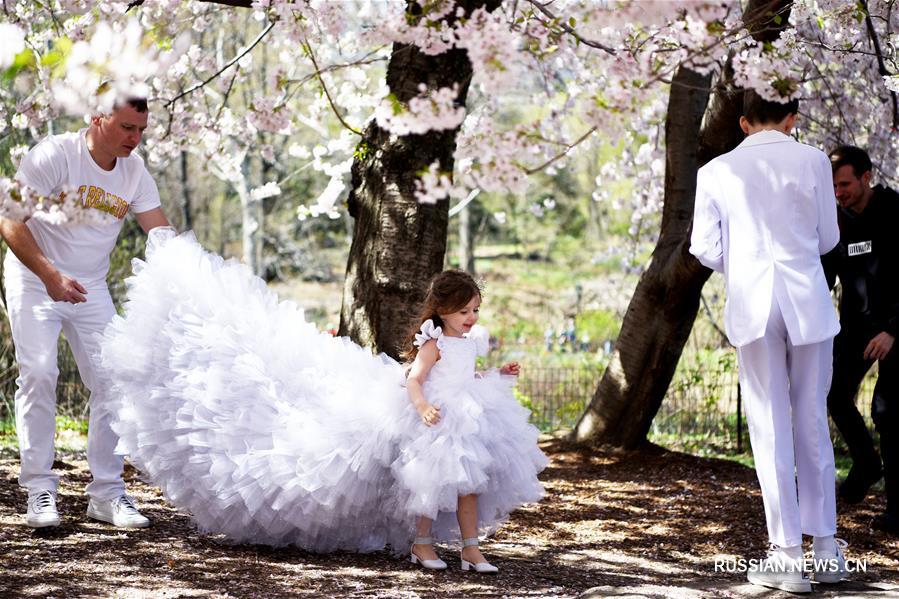 Нью-Йорк весной