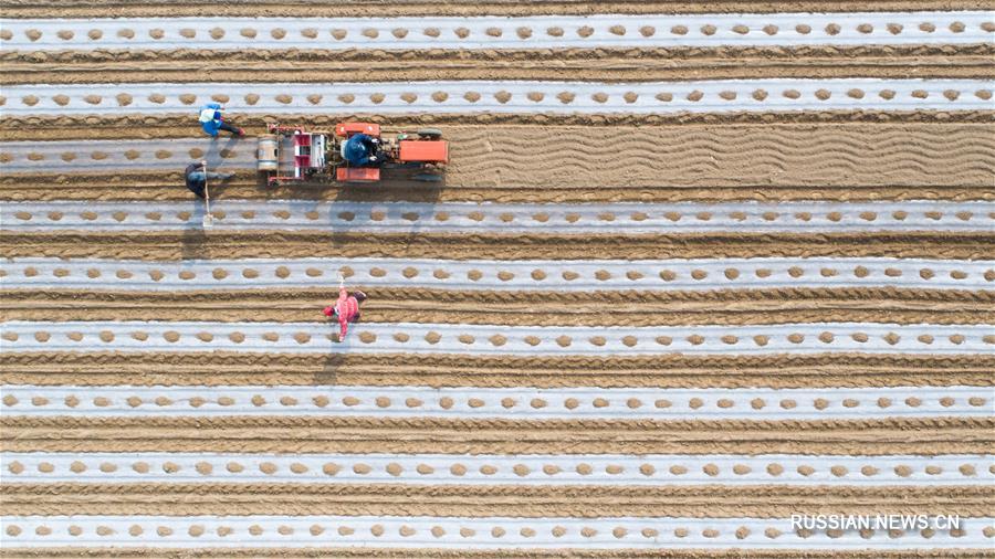 Весенние полевые работы в Китае