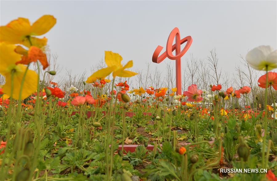 Китайские павильоны и парковые зоны на Всемирной выставке садово-паркового искусства-2019 в Пекине