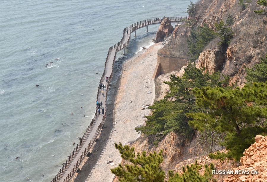 Проект восстановления береговой линии в уезде Чандао