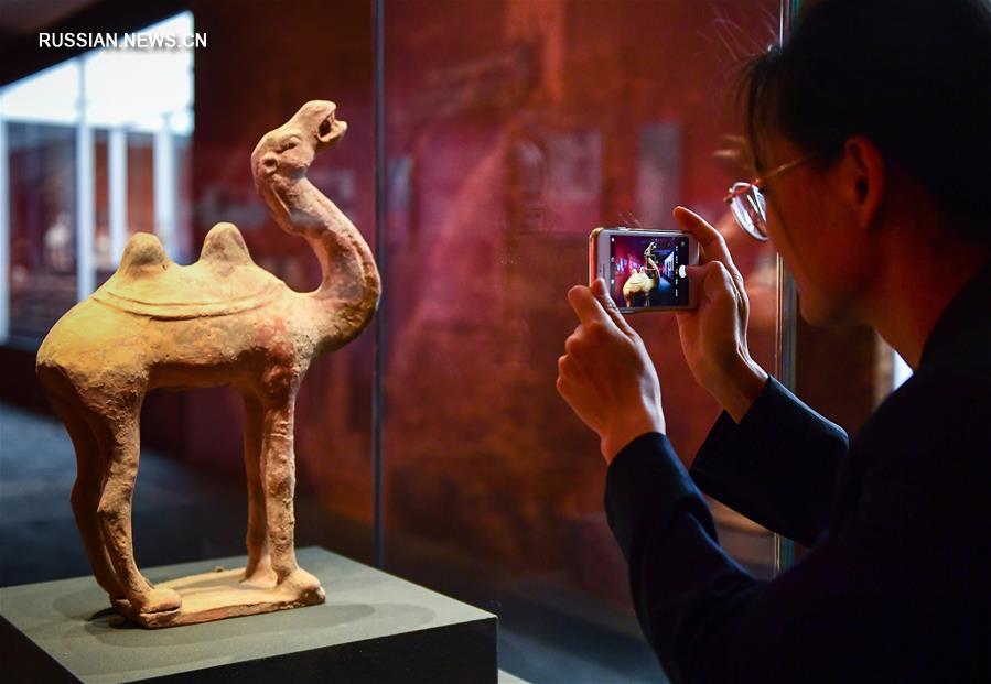 В Пекине открылась выставка историко-культурных ценностей, возвращенных Италией Китаю