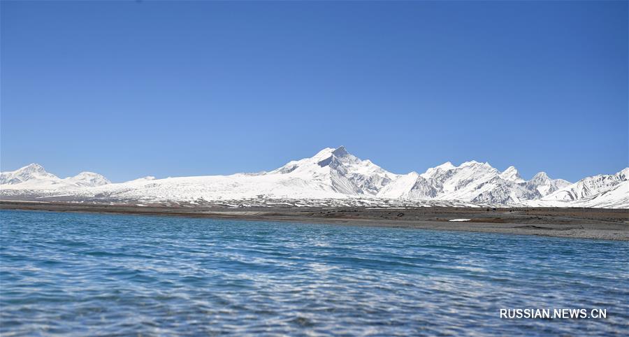 Великая вершина Тибета -- Шишабангма