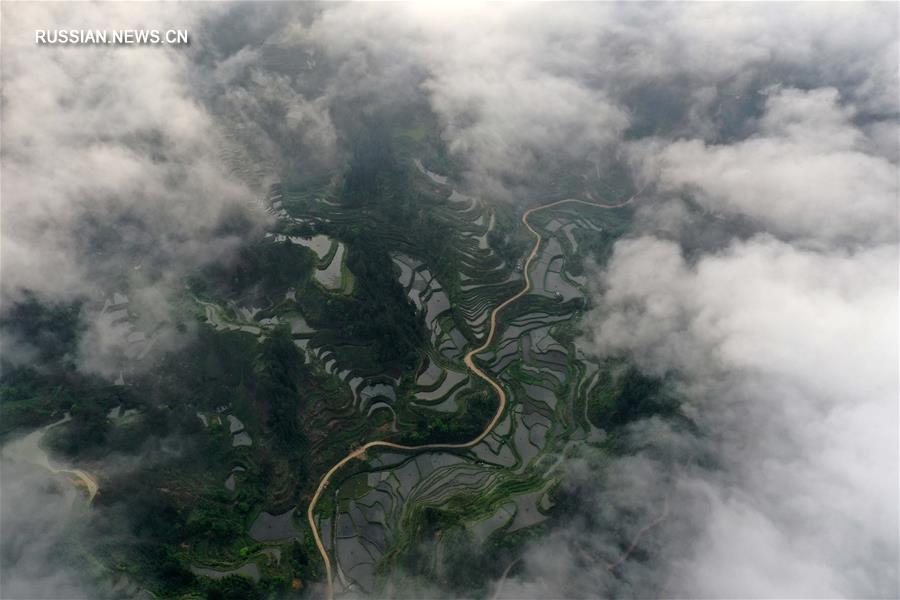 Поздний апрель в Жуншуй-Мяоском автономном уезде