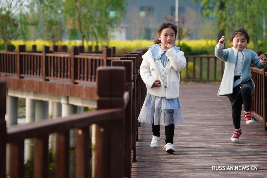 От обработки отходов к защите окружающей среде -- трансформация поселка в провинции Цзянсу