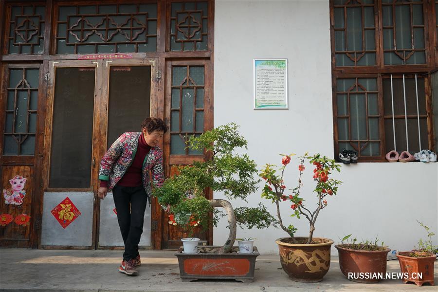 От обработки отходов к защите окружающей среде -- трансформация поселка в провинции Цзянсу