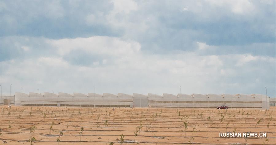 Китайская корпорация SINOMACH-HI строит в египетской пустыне крупную сельскохозяйственную базу современного тепличного производства 