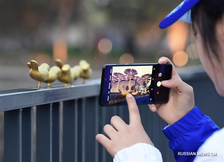 В Пекине открылась Международная садоводческая выставка