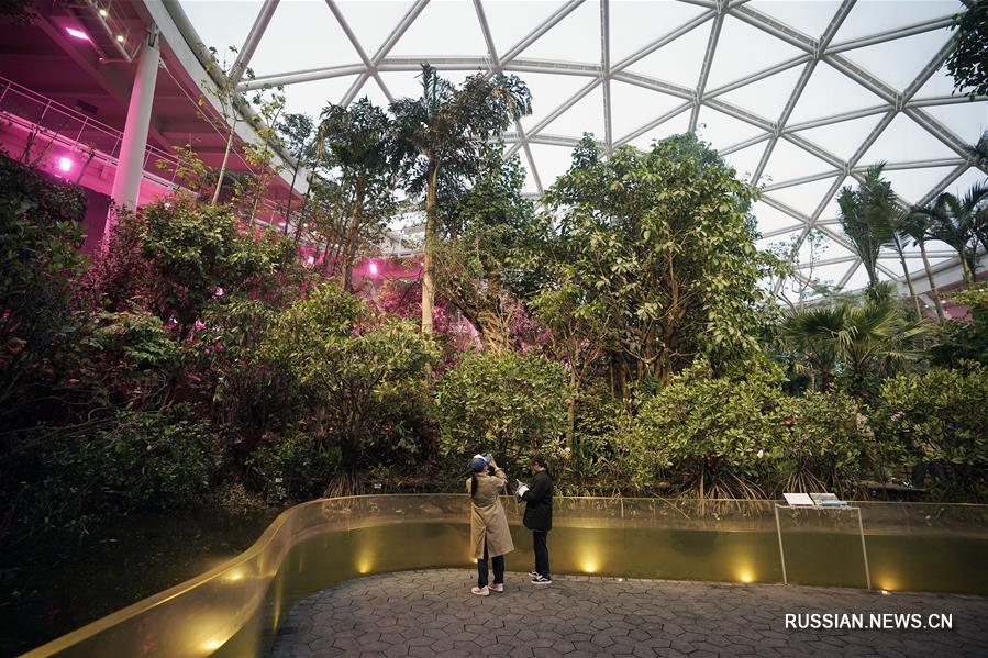 В Пекине открылась Международная садоводческая выставка