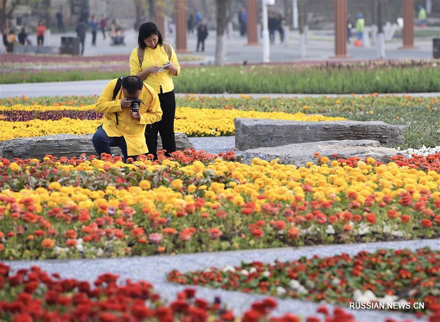 В Пекине открылась Международная садоводческая выставка