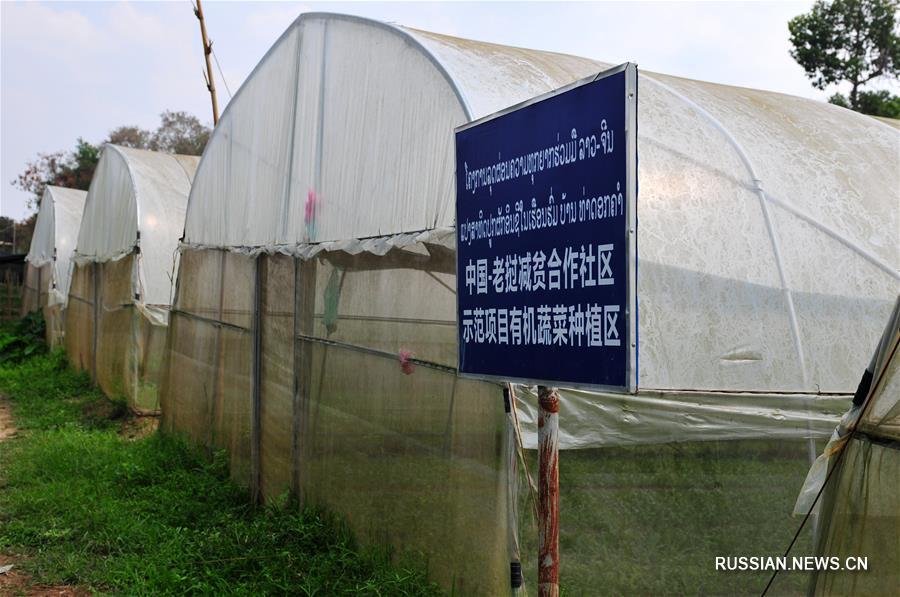 Китайские высокие агротехнологии на службе лаосских фермеров