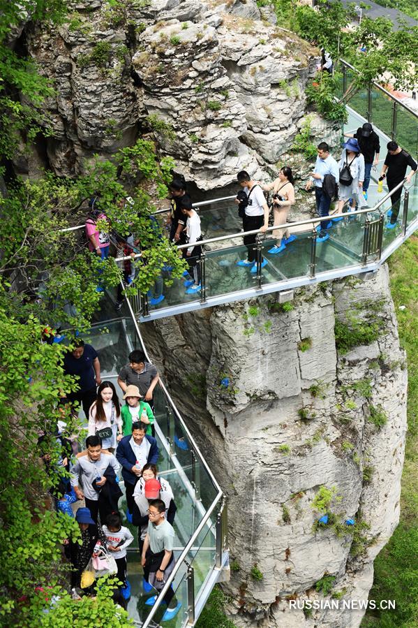 #(文化)(6)“五一”假日国内旅游接待总人数1.95亿人次