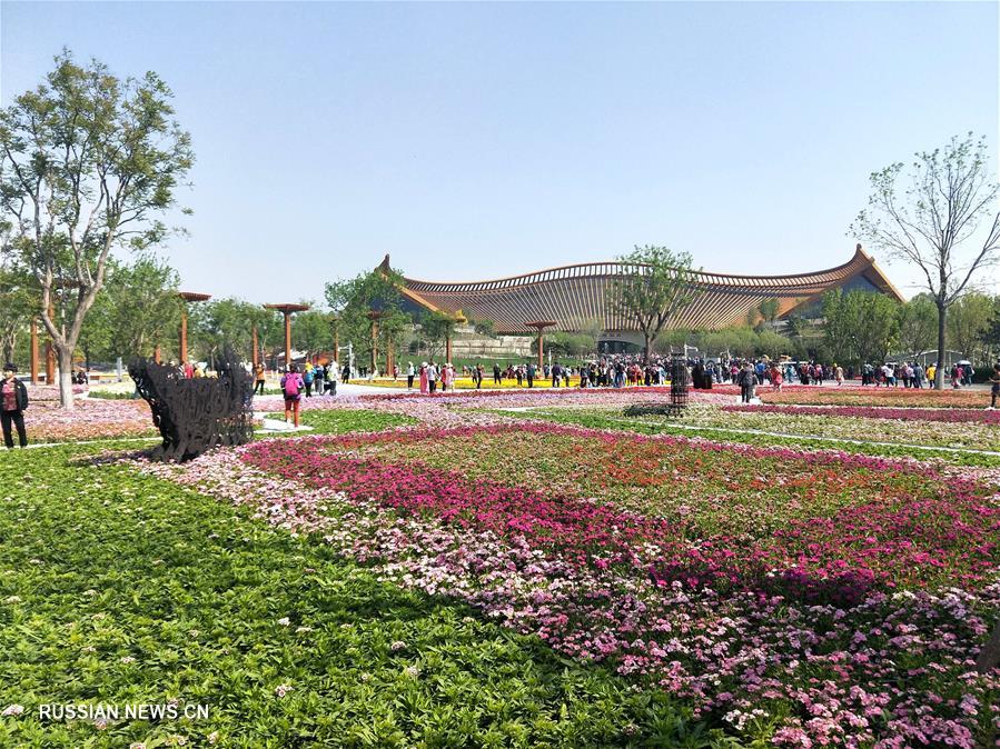 Яркие цветы на Всемирной выставке садово-паркового искусства-2019 в Пекине