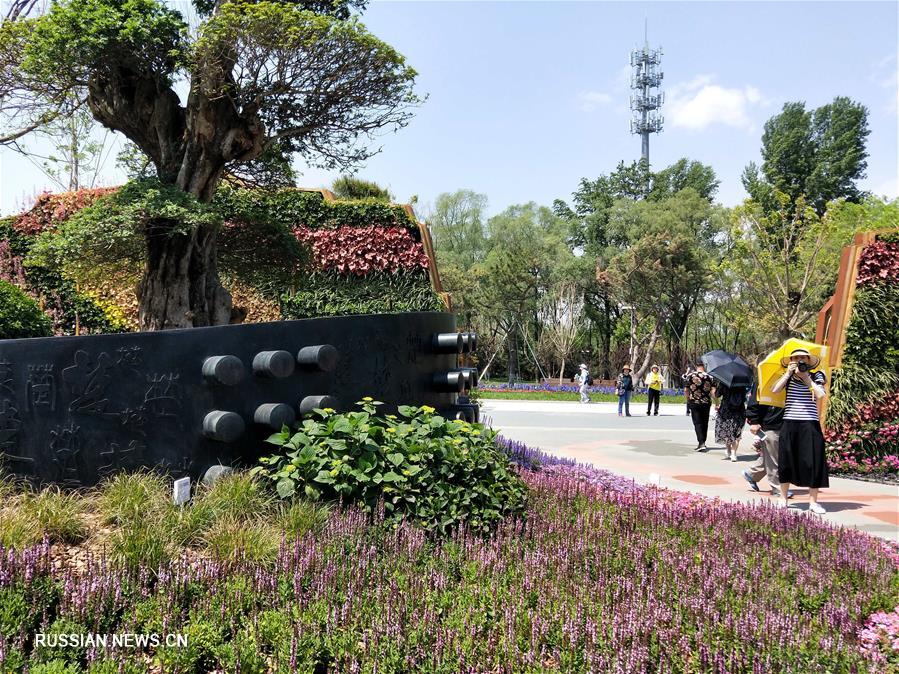 Яркие цветы на Всемирной выставке садово-паркового искусства-2019 в Пекине