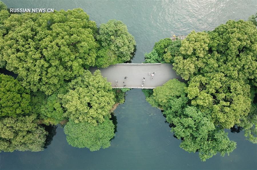 Май на озере Сиху в городе Ханчжоу