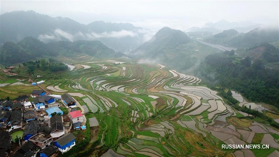 Поля-террасы в уезде Даньчжай на юго-западе Китая