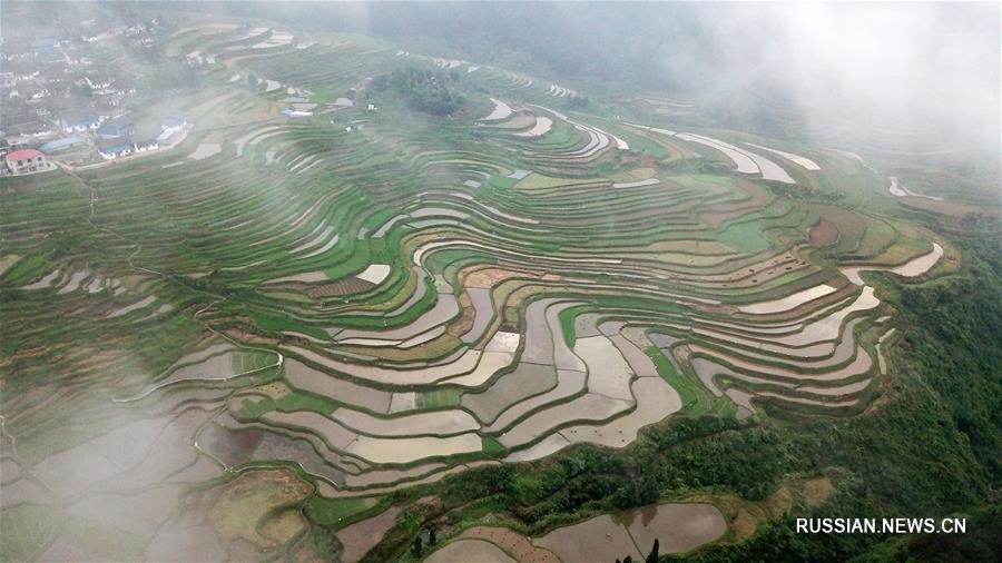 Поля-террасы в уезде Даньчжай на юго-западе Китая