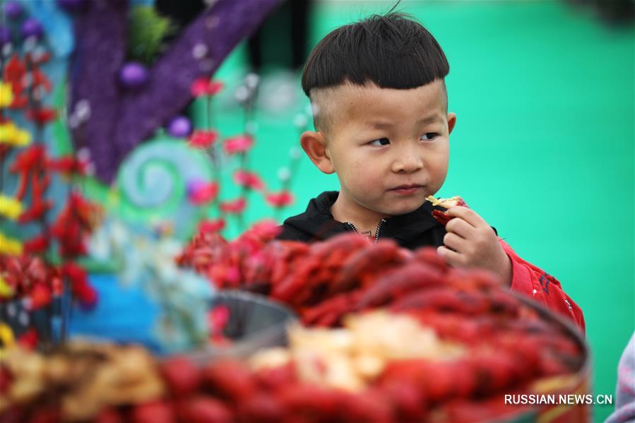 Как разводят раков в уезде Сюйи провинции Цзянсу