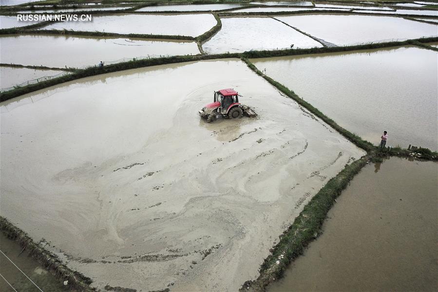В Китае в самом разгаре весенне-летние полевые работы