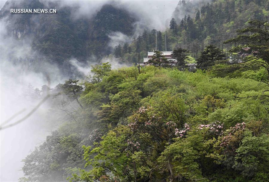 Пейзаж в горах Эмэйшань