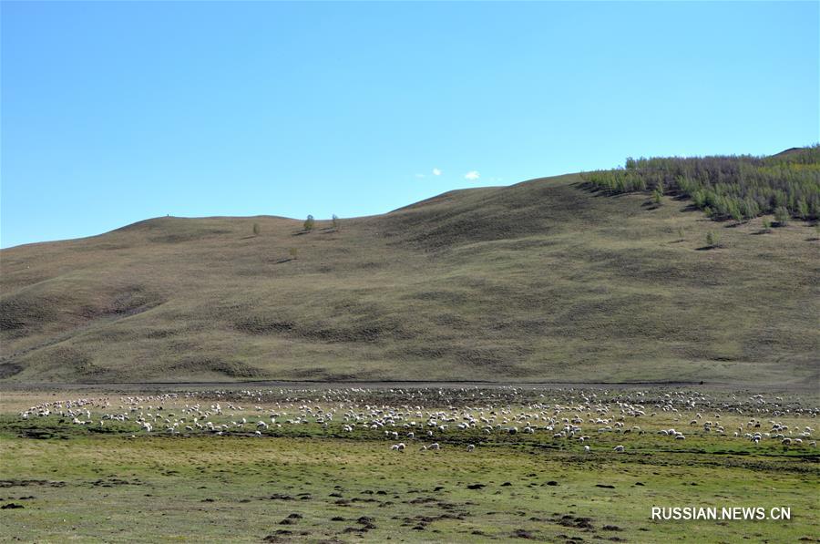 Поздняя весна на просторах Внутренней Монголии
