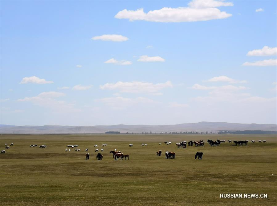 Поздняя весна на просторах Внутренней Монголии