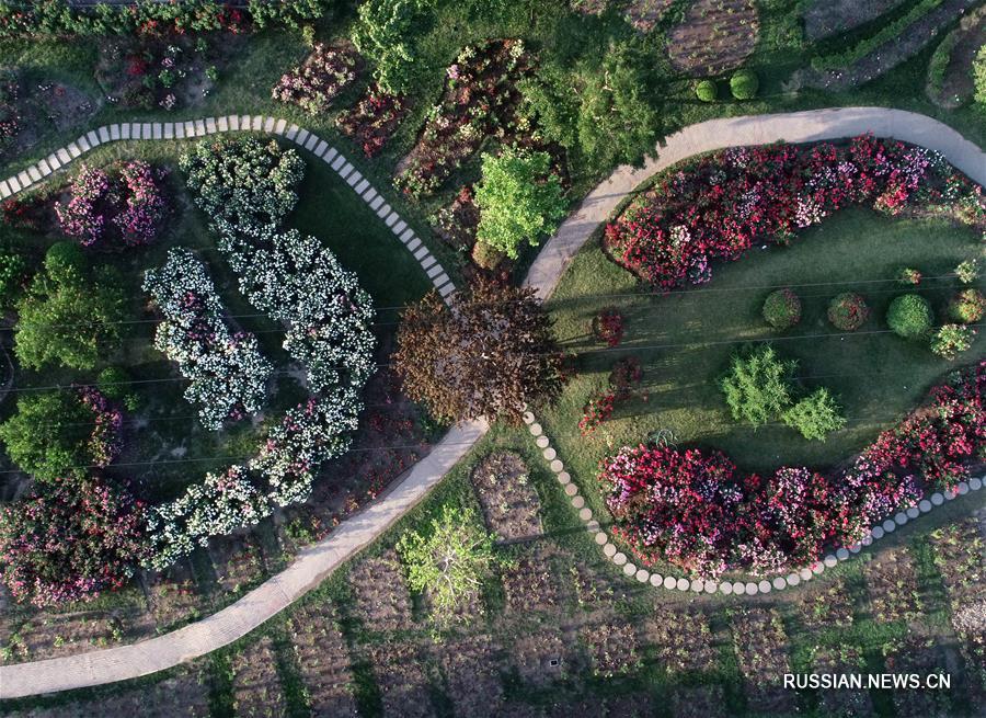 Ботанический сад на месте пустоши