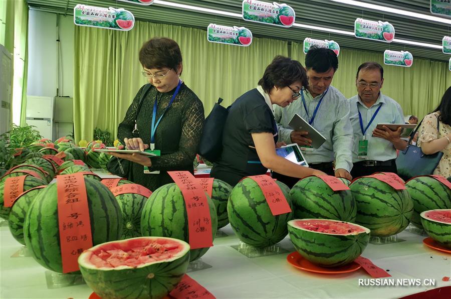 Фестиваль арбузов в китайской столице