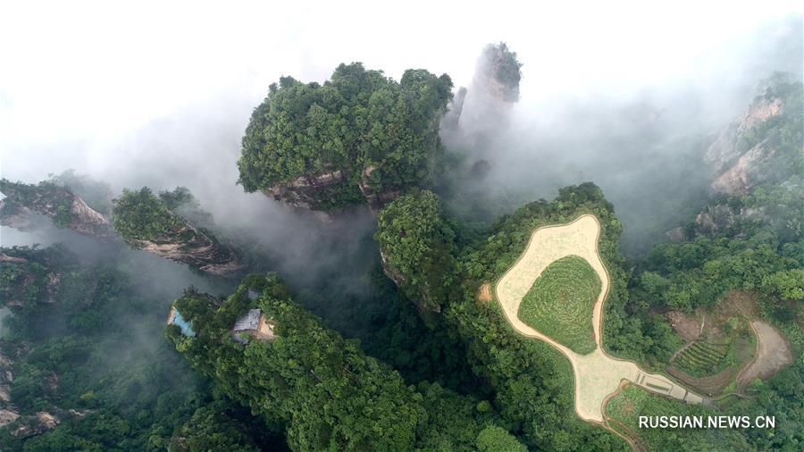 Облачное море в ландшафтном парке Улинъюань