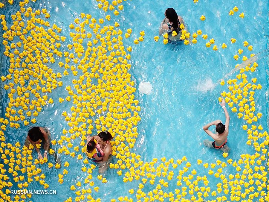 Желтые резиновые уточки в аквапарке на юге Китая
