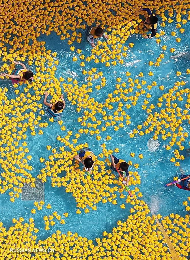 Желтые резиновые уточки в аквапарке на юге Китая