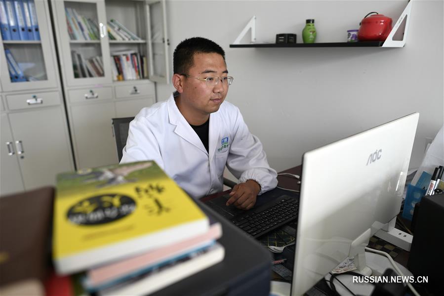 Молодой специалист разводит овец и баранов в Нинся