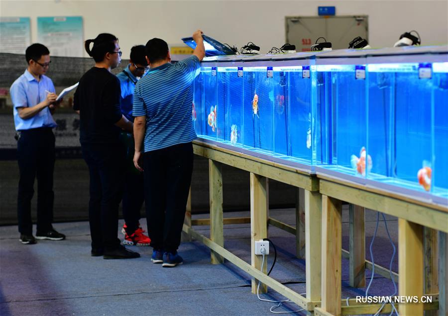 2-й Всемирный конкурс золотых рыбок в Фучжоу