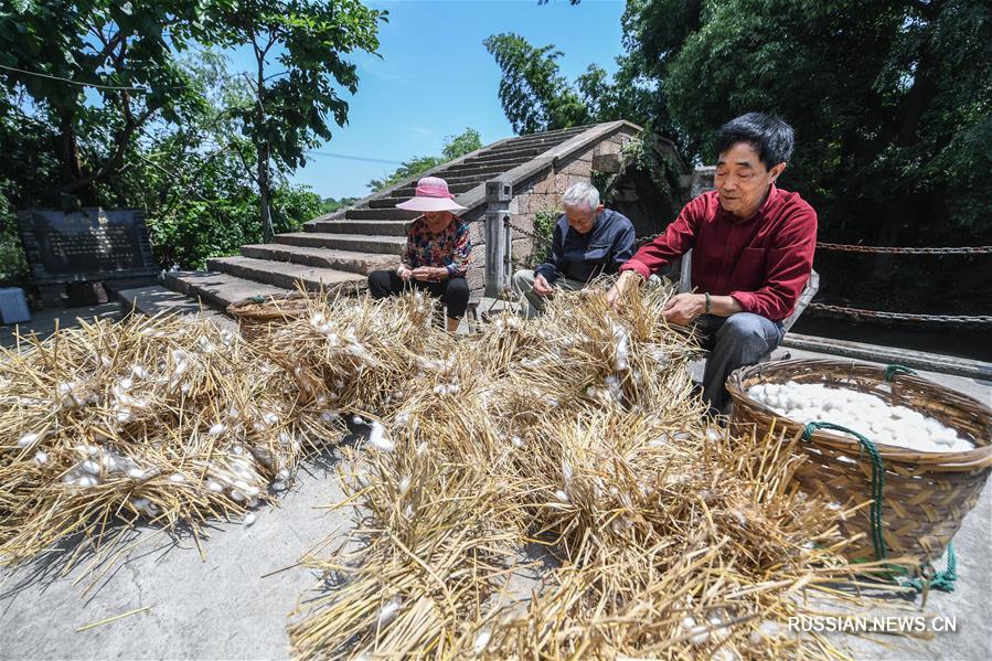 Новая жизнь тысячелетней деревни Луцунь -- "мировой колыбели шелка"