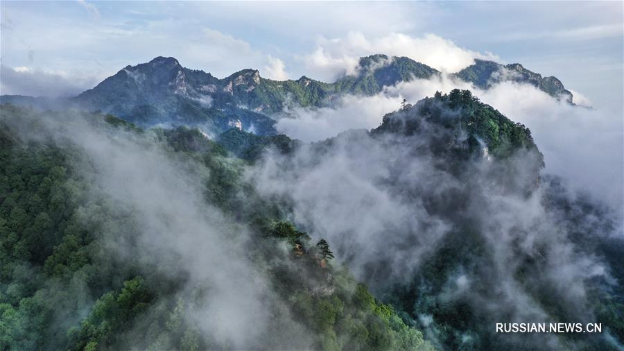 Горный лес после дождя в провинции Шэньси