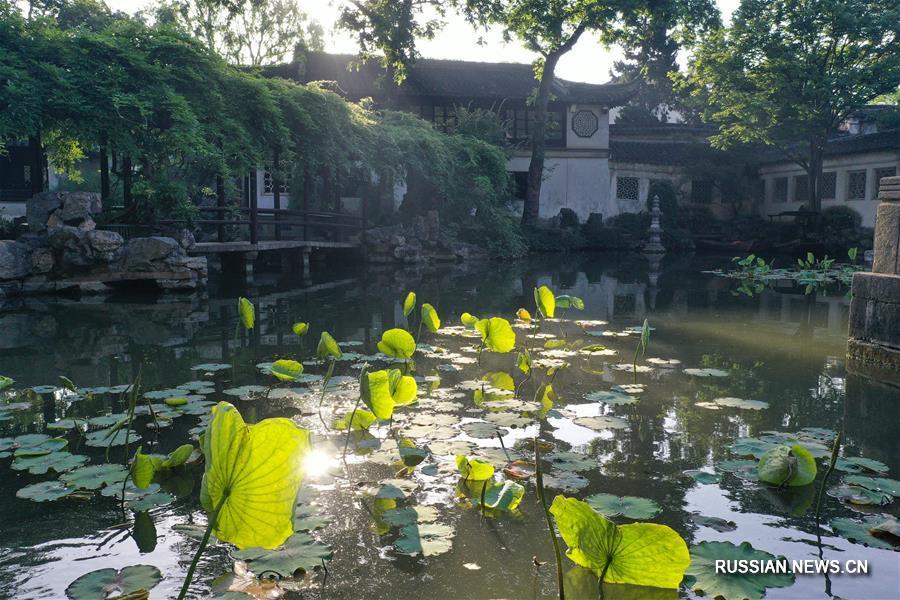 Зеленый Китай -- Знаменитые сады провинции Цзянсу
