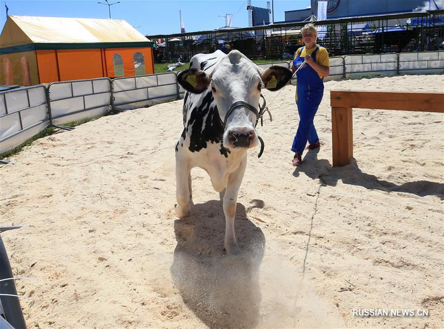 Выставка "Белагро-2019" открылась в Минском районе