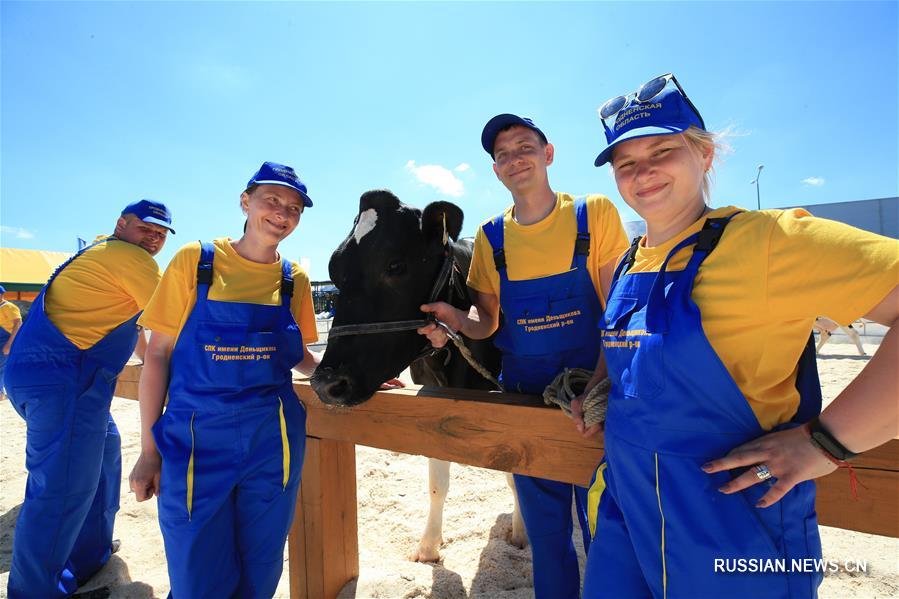 Выставка "Белагро-2019" открылась в Минском районе