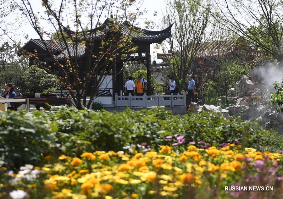 Изящество садов в сучжоуском стиле