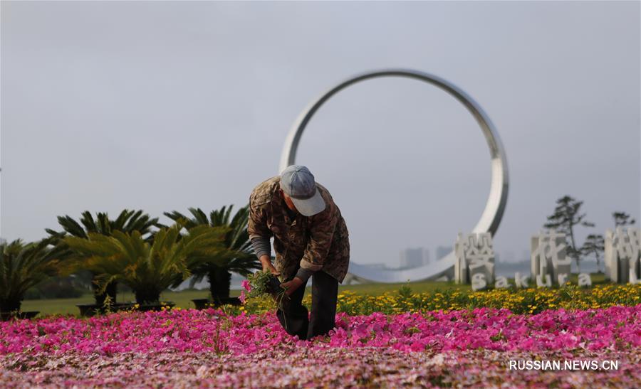 Болото превратилось в озеро "Цветов вишни" на востоке Китая