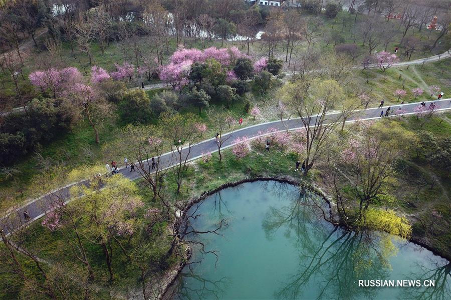 Природа провинции Чжэцзян на востоке Китая